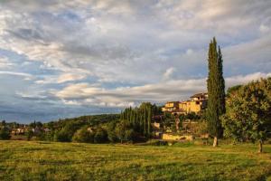 a field with a house in the background with trees at Borgo di Capannole, appartamento "Il Tono" in Capannole