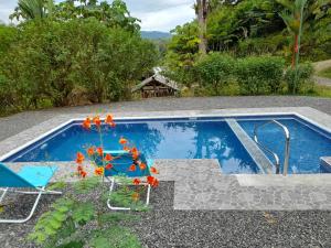 una imagen de una piscina rodeada de sillas en Guapinol Lodge, 