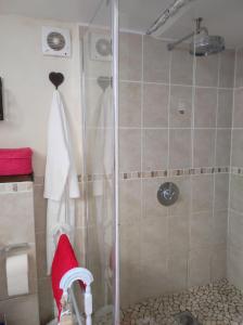 prysznic w łazience z czerwonym kapeluszem w obiekcie Cottage Breton w mieście Les Champs-Géraux