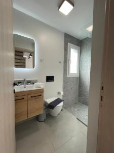 e bagno con servizi igienici, lavandino e doccia. di Room in Apartment - Villa Rodelia nr4 in Roda a Roda