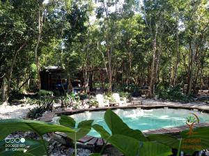 una piscina en medio de un bosque en Cozumel Glamping, en Cozumel