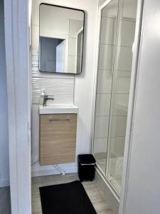 La salle de bains est pourvue d'un lavabo et d'un miroir. dans l'établissement Studio Petit Colombel 2pers Quartier St Felix, à Nantes