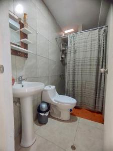 La salle de bains est pourvue d'un lavabo, de toilettes et d'une douche. dans l'établissement Alquiler departamento Asia - la alborada, à Asia