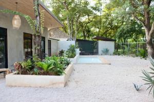 einen Hinterhof mit Pool und einigen Pflanzen in der Unterkunft hotelitos dos hijas in Playa Grande