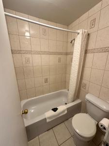 Gallery image of White River Motel in White River +30 photos