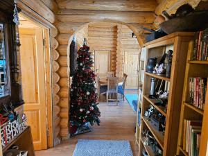 un árbol de Navidad en el pasillo de una cabaña de madera en Cabana Alesia, relaxare la poalele Raraului, en Câmpulung Moldovenesc