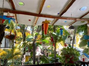 Zahrada ubytování Maison Tulum