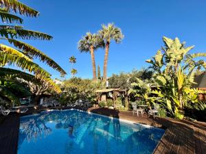 una piscina con palmeras en el fondo en Hotel Altea Paradise 1917 - Adults Only en Altea