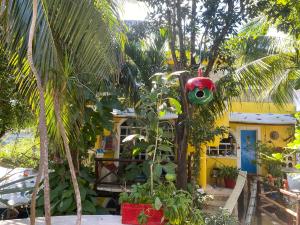 Zahrada ubytování Maison Tulum