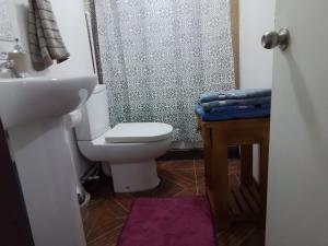 a bathroom with a white toilet and a sink at Departamento interior 2 Villarrica Céntrico in Villarrica +6 photos