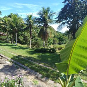 Elle offre une vue sur un parc planté de palmiers et d'herbes. dans l'établissement Pousada Vale Encantado Macaé, à Macaé