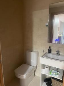 La salle de bains est pourvue de toilettes blanches et d'un lavabo. dans l'établissement Le Petit Palais, à Escarrilla