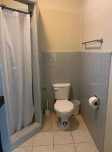 a bathroom with a white toilet and a shower at Suite in Urdesa Central Guayaquil in Guayaquil