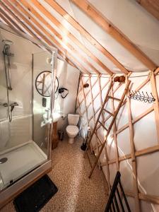 bagno con doccia e servizi igienici. di Aloha Glamp - Domki z prywatnym jacuzzi & balia & sauna a Zagórnik