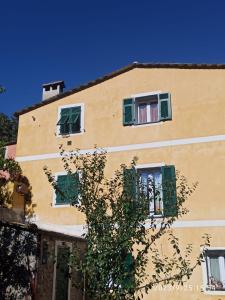 ein Gebäude mit grünen Fensterläden und einem Baum in der Unterkunft Soleluna in Levanto