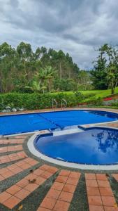 a pool with blue water in a yard at Finca La Toscana in Pereira