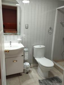 Un baño con un inodoro blanco y un lavabo. en Cabañas Marina del Sur 1, en Puerto Natales