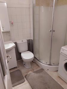 ein Bad mit einer Dusche, einem WC und einem Waschbecken in der Unterkunft F.A.A Sabiha Gökçen in Istanbul