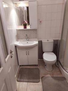 a small bathroom with a toilet and a sink at F.A.A Sabiha Gökçen in Istanbul