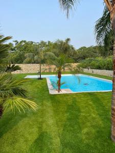 a swimming pool in a yard with palm trees at Villa laura in Palermo