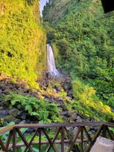 a waterfall on the side of a mountain at Tim's & Mag's Home Stay in Roseau