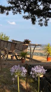 un banco de madera con flores y plantas. en Agriturismo Casallario, en Volterra
