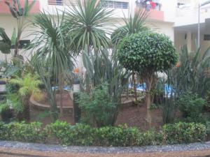 a garden with palm trees and other plants at Modern Apartment Horizon with Great Front View, Casablanca in Casablanca