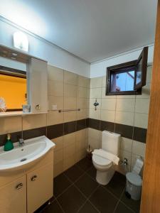 uma casa de banho com um lavatório, um WC e uma janela. em Betul Guest House em Famagusta