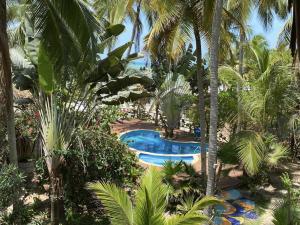 an overhead view of a resort pool with palm trees at Sublime by Playa la Roca EcoHotel in Palomino