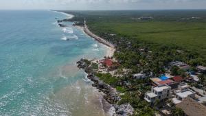 an aerial view of the shoreline of a beach at Tropicalito Villa on the Beach in Tulum