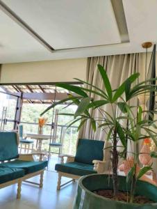 a living room with a large plant in a pot at Casa dos Colibris, Lugar memorável! in Chã Grande