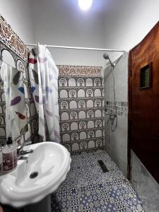 y baño con lavabo y ducha. en Riad Palais D'Or, en Rabat