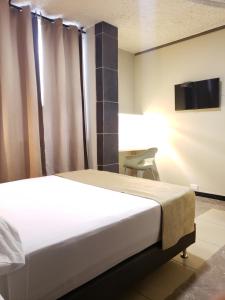 Postel nebo postele na pokoji v ubytování Hotel Suite Center Pereira