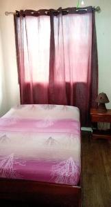 Llit o llits en una habitació de MonPe House: Authentic Tico Home in Quepos