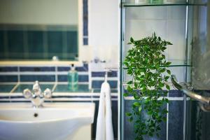 a bathroom with a sink and a potted plant at The Old Stables - Hot Tub, Sauna and Cinema in Alyth +43 photos