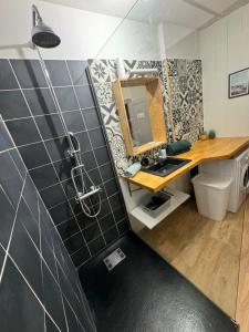 La salle de bains est pourvue d'un lavabo et d'une douche avec un miroir. dans l'établissement Hyper centre gordaine #3, à Bourges