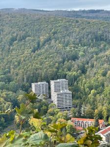 two tall white buildings in the middle of a hill at Apartment Beletage Bad Harzburg in Bad Harzburg