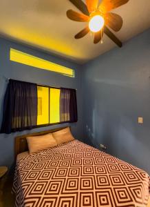 1 dormitorio con 1 cama y ventilador de techo en Caribbean Blue Morpho Casitas, en Talamanca