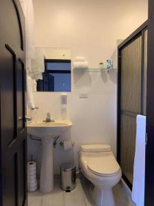 アラフエラにあるLuxury Apt, fully equipped, near to SJO airportのトイレと洗面台を備えた白いバスルーム +6枚の写真