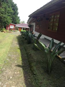Zahrada ubytování Finca La Toscana