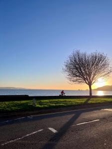 a person riding a bike on a road next to a tree at Tides Reach Guest House in The Mumbles