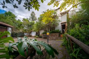 un patio de una casa con una planta en Casa de Las Aguas, en Villa de Leyva