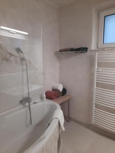 Vonios kambarys apgyvendinimo įstaigoje Apartmán Vital na Pálavě - ubytování & životní restart