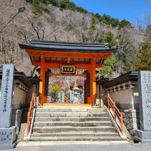 une porte orange face à une montagne dans l'établissement Ichimaru Ryokan - Vacation STAY 59257v, à Tenkawa