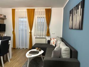 TV a/nebo společenská místnost v ubytování Apartmani Lotus Vrdnik