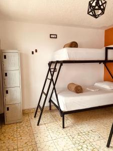 Habitación con 2 literas en una habitación en Lool Beh Hostal, en San Miguel de Allende