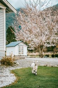 和主人一起入住Rocky Creek Shepherds Hut的宠物