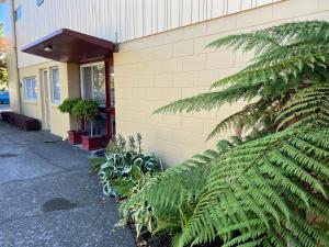 a building with a plant in front of it at Golden Leaf Apartments in Invercargill