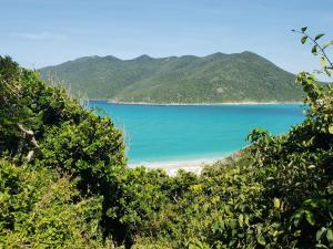 a view of a beach from a hill with trees at Âncora Lofts in Arraial do Cabo