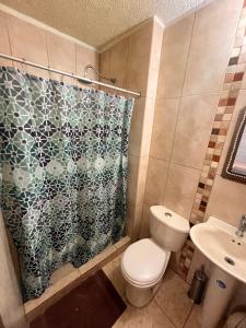 a bathroom with a toilet and a shower curtain at Apartamento Aeropuerto Maiquetia en Planta Baja in Catia La Mar